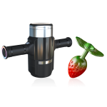M1 & STRAWBERRY-SHAPED ANAL PLUG