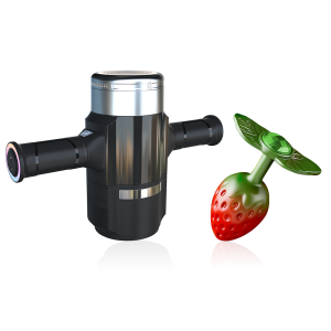 M1 & STRAWBERRY-SHAPED ANAL PLUG